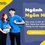 Đặc Trưng Của Nhóm Nghề Ngôn Ngữ