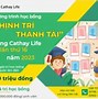 Học Bổng Tài Trợ Ueh Gồm Các Loại Nào Không Phải