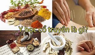 Học Phí Du Học Pháp Ngành Y Học Cổ Truyền