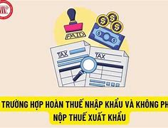 Quy Định Về Hoàn Thuế Nhập Khẩu