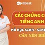 Thi Toeic 2 Kỹ Năng Bao Nhiêu Tiên Việt Nam