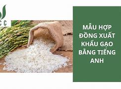 Xuất Khẩu Gạo Trong Tiếng Anh